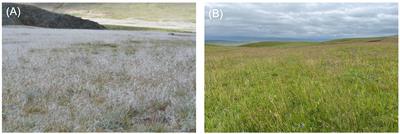 Editorial: Vegetation-based degradation and restoration on the alpine grasslands of the Tibetan plateau